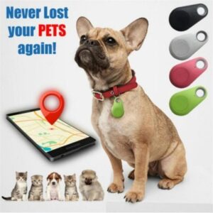 Smart Pet Tracker Mini GPS Tracker Anti-Lost for Pet Dog Cat Key Finder Zx