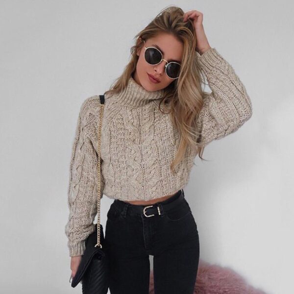 Women's Sweaters online | Women's Warm Thick Tummy Length Soft Knitted Turtle Neck Comfy sweater - Crazy Ass Deal