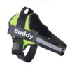 green personalized dog harness no pull reflect variants